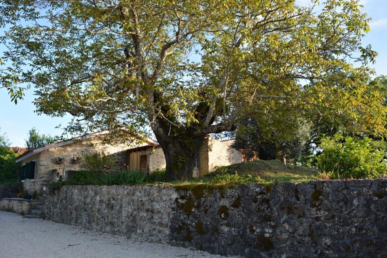 안시앙 Casa Da Pedra 빌라 외부 사진