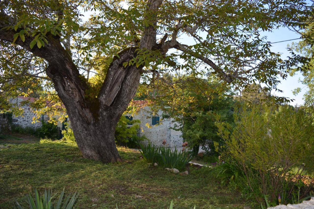안시앙 Casa Da Pedra 빌라 외부 사진